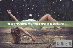 世界十大品牌床垫2020（世界顶级品牌床垫）