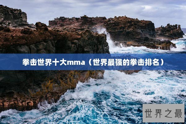 拳击世界十大mma（世界最强的拳击排名）