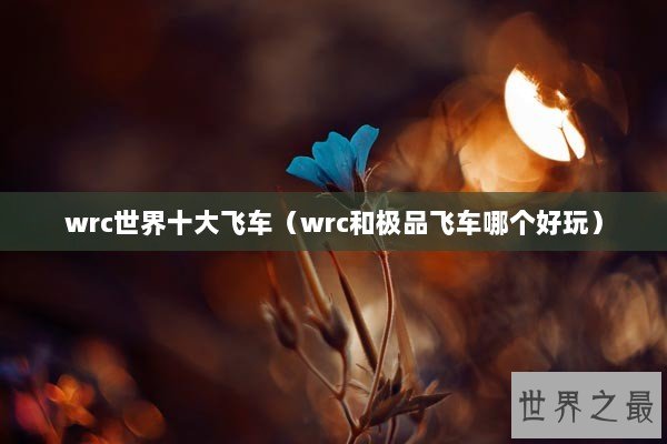 wrc世界十大飞车（wrc和极品飞车哪个好玩）