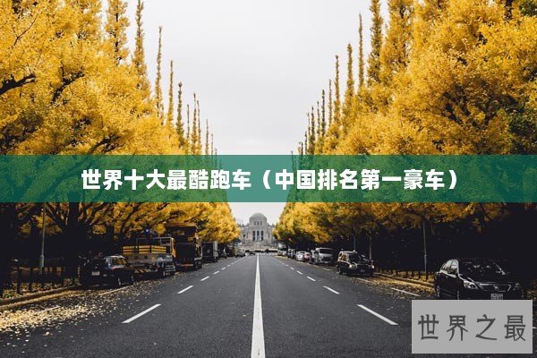 世界十大最酷跑车（中国排名第一豪车）