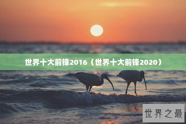 世界十大前锋2016（世界十大前锋2020）