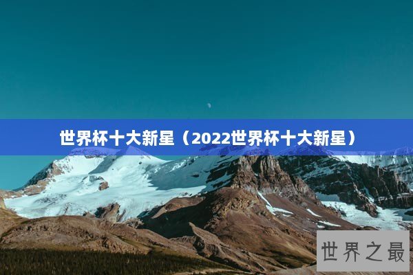 世界杯十大新星（2022世界杯十大新星）