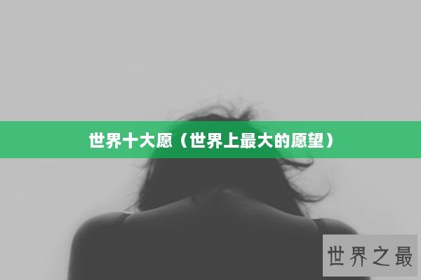 世界十大愿（世界上最大的愿望）