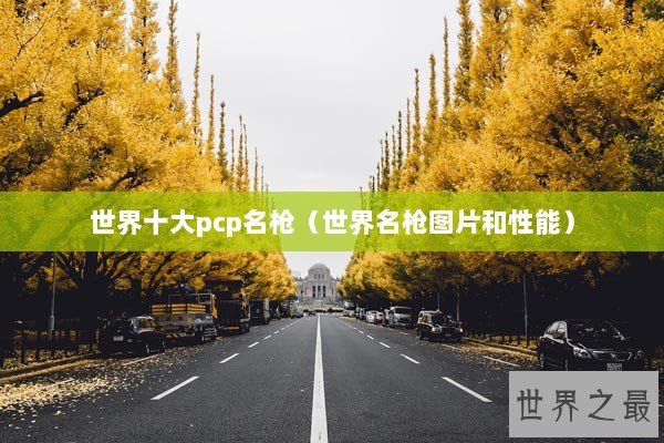 世界十大pcp名枪（世界名枪图片和性能）