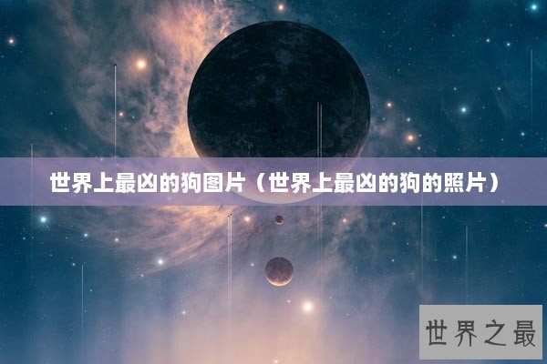 世界上最凶的狗图片（世界上最凶的狗的照片）