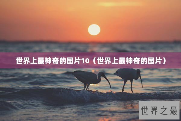 世界上最神奇的图片10（世界上最神奇的图片）