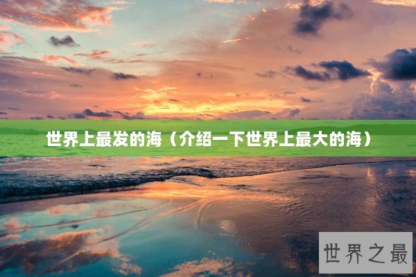 世界上最发的海（介绍一下世界上最大的海）