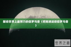 献给世界上最努力的你罗马音（把地球送给你罗马音）