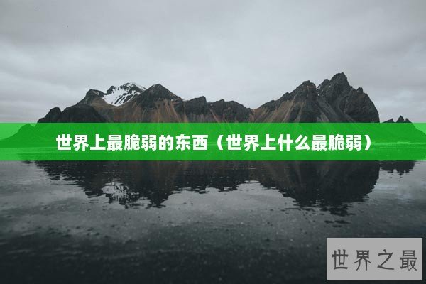 世界上最脆弱的东西（世界上什么最脆弱）