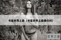 书是世界上最（书是世界上最廉价的）