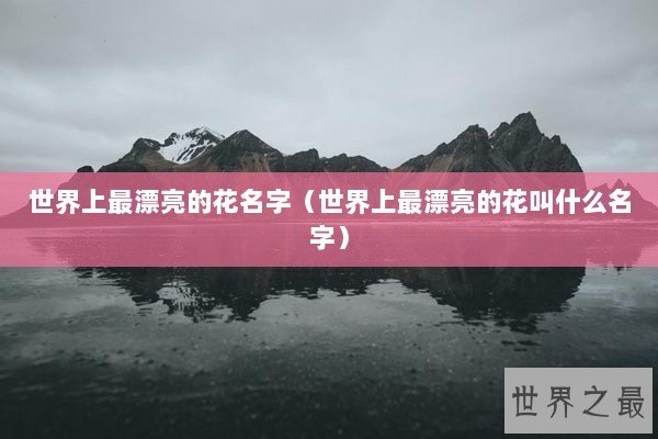 世界上最漂亮的花名字（世界上最漂亮的花叫什么名字）