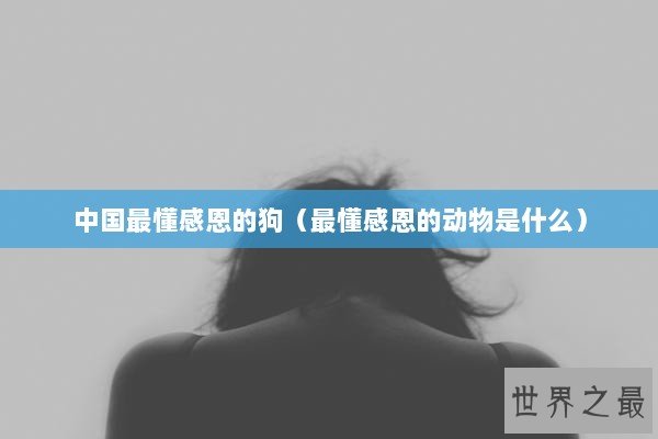 中国最懂感恩的狗（最懂感恩的动物是什么）