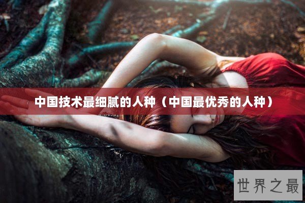 中国技术最细腻的人种（中国最优秀的人种）