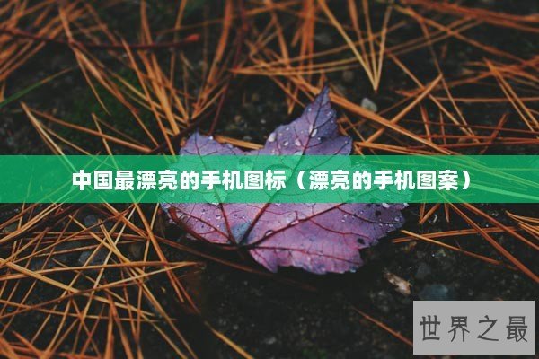 中国最漂亮的手机图标（漂亮的手机图案）