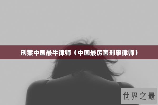 刑案中国最牛律师（中国最厉害刑事律师）