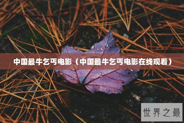 中国最牛乞丐电影（中国最牛乞丐电影在线观看）