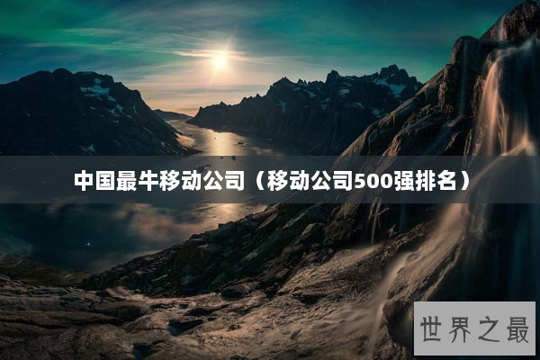 中国最牛移动公司（移动公司500强排名）