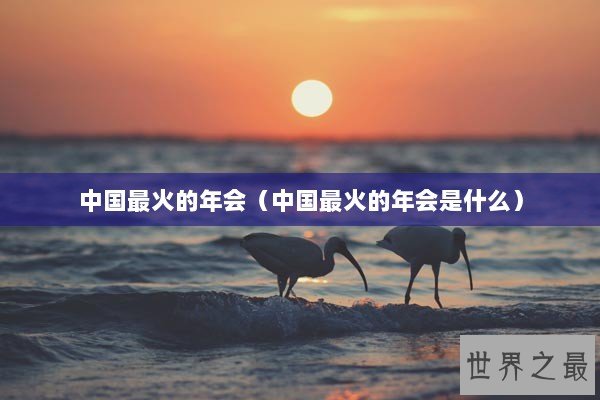 中国最火的年会（中国最火的年会是什么）