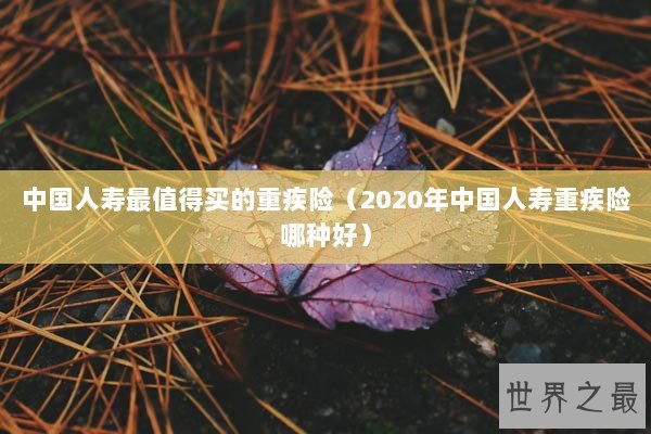 中国人寿最值得买的重疾险（2020年中国人寿重疾险哪种好）