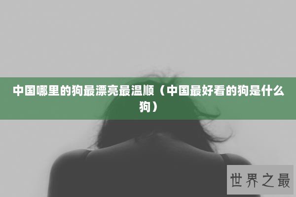 中国哪里的狗最漂亮最温顺（中国最好看的狗是什么狗）