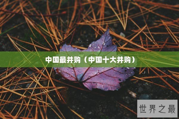 中国最并购（中国十大并购）