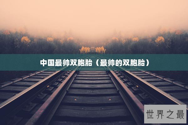 中国最帅双胞胎（最帅的双胞胎）