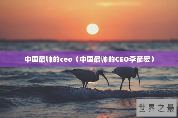 中国最帅的ceo（中国最帅的CEO李彦宏）