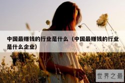 中国最赚钱的行业是什么（中国最赚钱的行业是什么企业）