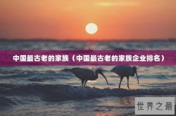 中国最古老的家族（中国最古老的家族企业排名）