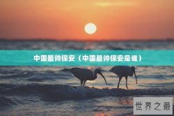 中国最帅保安（中国最帅保安是谁）