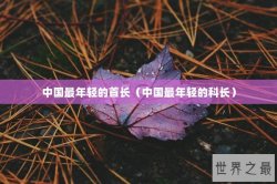 中国最年轻的首长（中国最年轻的科长）