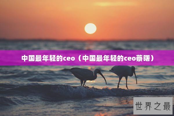 中国最年轻的ceo（中国最年轻的ceo蔡曙）