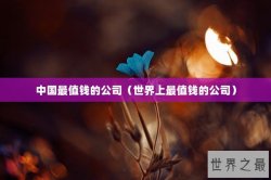 中国最值钱的公司（世界上最值钱的公司）