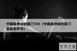 中国最神秘的部门749（中国最神秘的部门脑筋急转弯）