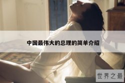 中国最伟大的总理的简单介绍