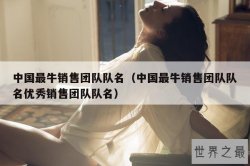 中国最牛销售团队队名（中国最牛销售团队队名优秀销售团队队名）