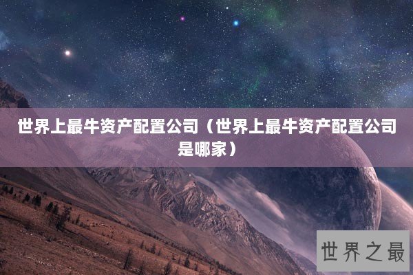 世界上最牛资产配置公司（世界上最牛资产配置公司是哪家）