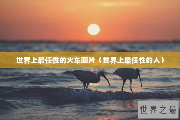 世界上最任性的火车图片（世界上最任性的人）