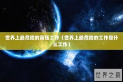 世界上最危险的高压工作（世界上最危险的工作是什么工作）