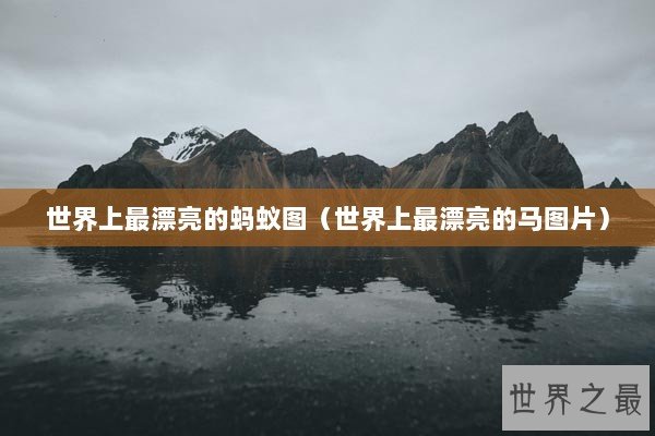 世界上最漂亮的蚂蚁图（世界上最漂亮的马图片）