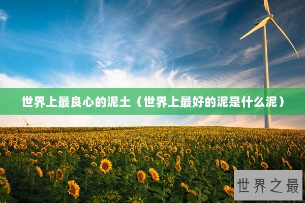 世界上最良心的泥土（世界上最好的泥是什么泥）