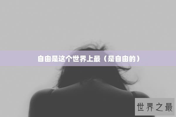 自由是这个世界上最（是自由的）