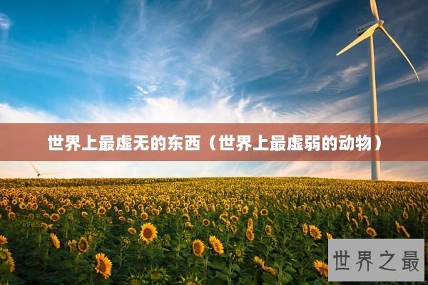 世界上最虚无的东西（世界上最虚弱的动物）