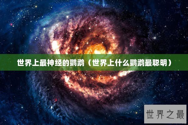 世界上最神经的鹦鹉（世界上什么鹦鹉最聪明）