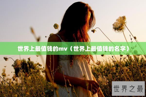 世界上最值钱的mv（世界上最值钱的名字）