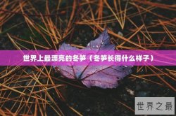 世界上最漂亮的冬笋（冬笋长得什么样子）