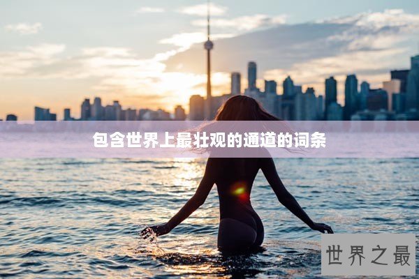 包含世界上最壮观的通道的词条