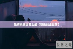 我将挑战世界上最（我挑战全世界）