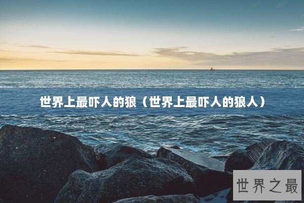 世界上最吓人的狼（世界上最吓人的狼人）