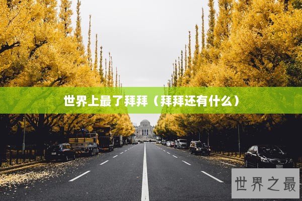 世界上最了拜拜（拜拜还有什么）